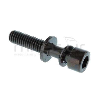 TORNILLO HEXAGONAL M6X25 D352 () - motoscamaralweb.com