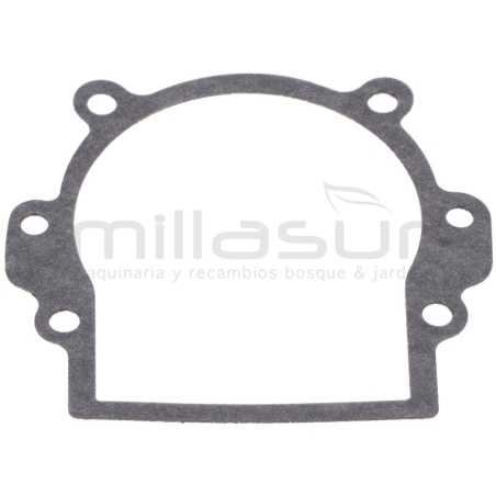 JUNTA CARTER D43B. D52B (B16) - motoscamaralweb.com