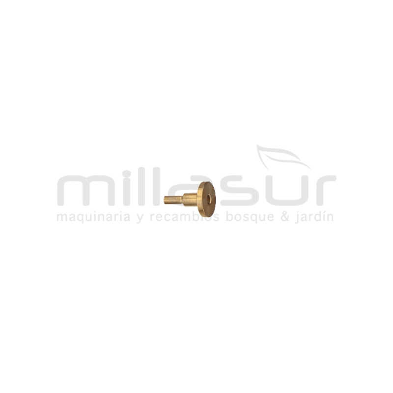 CHICLÉ - motoscamaralweb.com