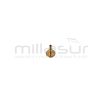 CHICLÉ - motoscamaralweb.com