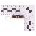 RETÉN CIGÜEÑAL LADO VOLANTE D52R 15X30X7 (12) - motoscamaralweb.com