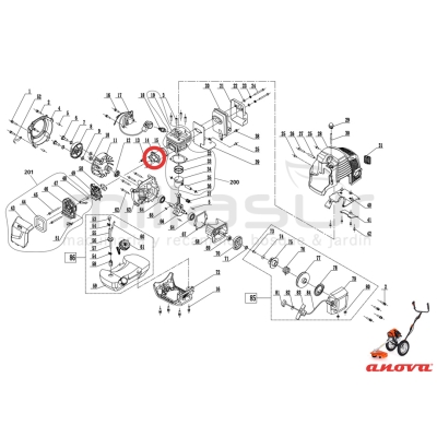 BRIDA ADMISION D52R (14) - motoscamaralweb.com