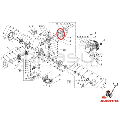 ESCAPE D52R (20) - motoscamaralweb.com