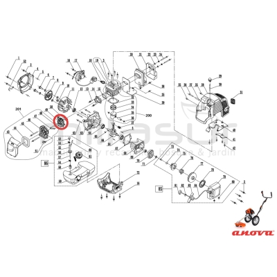 CARBURADOR D52R (49) - motoscamaralweb.com