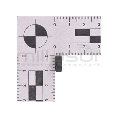 TUERCA M6 D52R (25) - motoscamaralweb.com