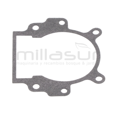 JUNTA CARTER D536 - motoscamaralweb.com