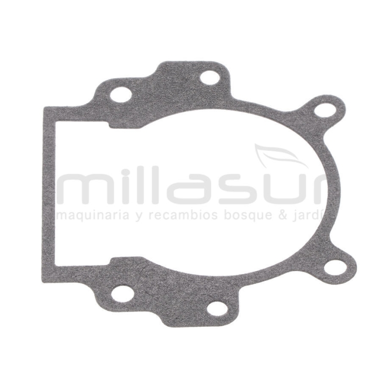 JUNTA CARTER D536 - motoscamaralweb.com