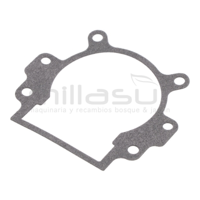 JUNTA CARTER D536 - motoscamaralweb.com