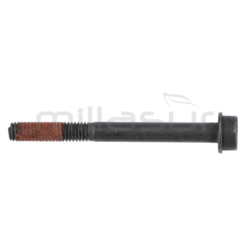 TORNILLO SUJECCION CARBURADOR M5X50 D536.D553M(54) - motoscamaralweb.com