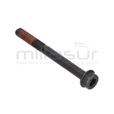 TORNILLO SUJECCION CARBURADOR M5X50 D536.D553M(54) - motoscamaralweb.com