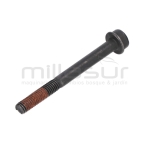 TORNILLO SUJECCION CARBURADOR M5X50 D536.D553M(54) - motoscamaralweb.com