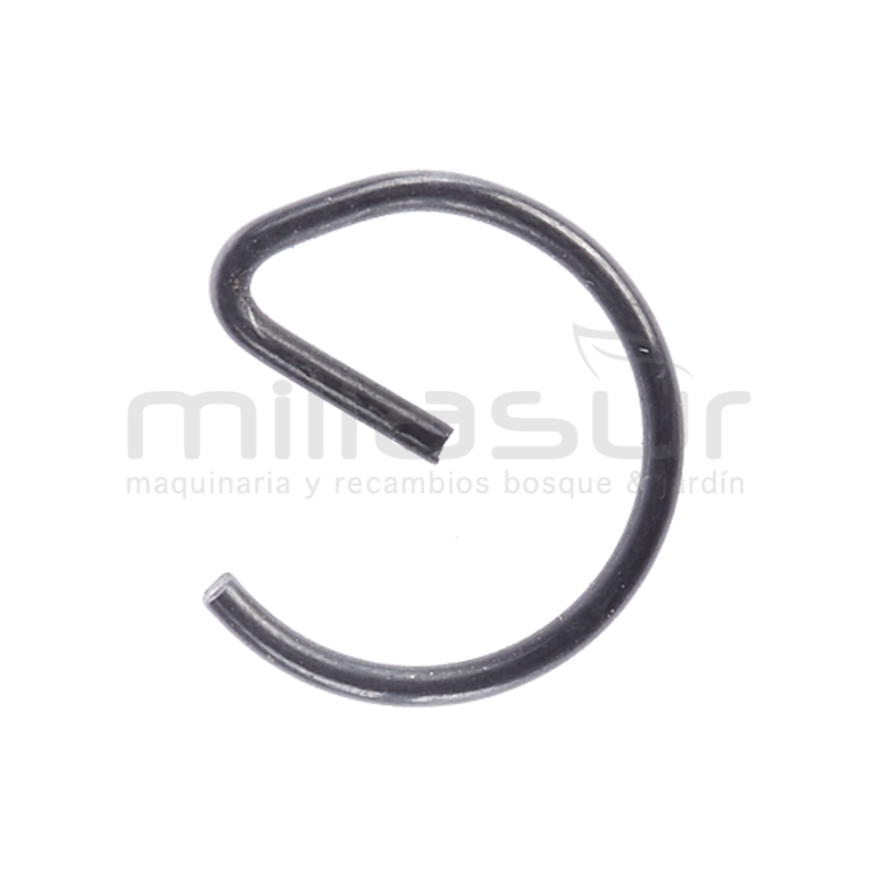 PRESILLA BULON D546HXP (A36) - motoscamaralweb.com