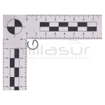 PRESILLA PISTON D63 - motoscamaralweb.com