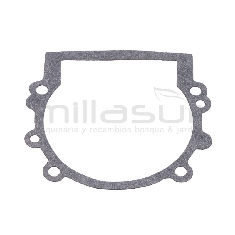 JUNTA CARTER D63 - motoscamaralweb.com