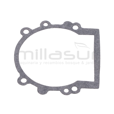 JUNTA CARTER D63 - motoscamaralweb.com