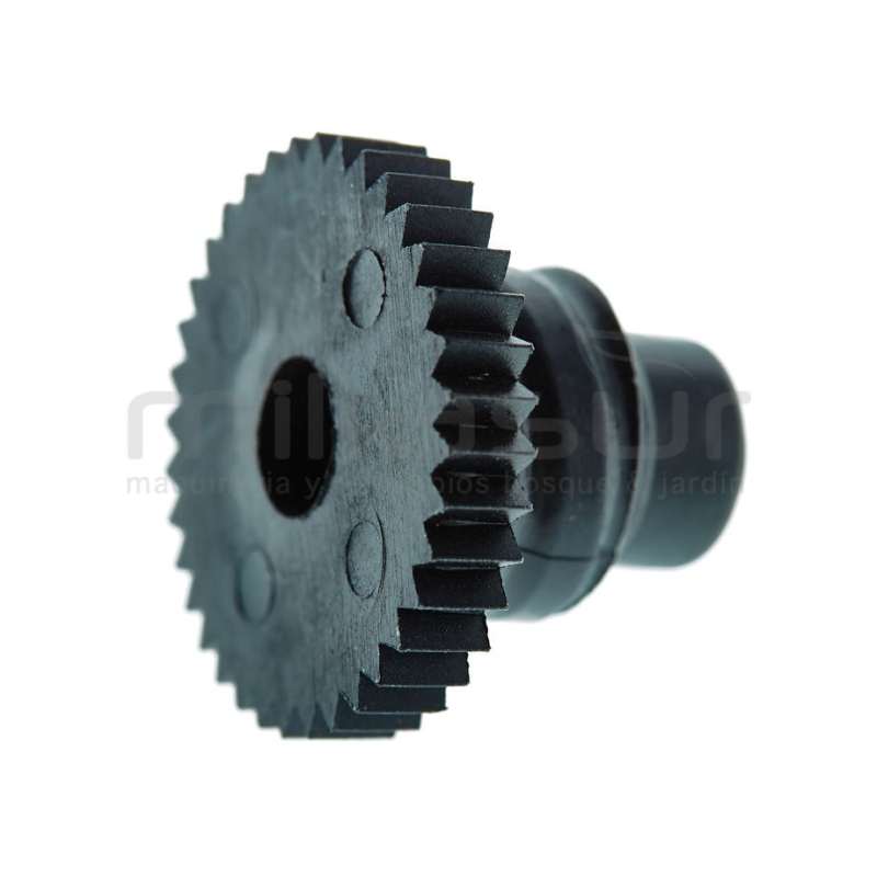 ASIENTO CON ROSCA MUELLE AMORTIGUADOR D63BA (6) - motoscamaralweb.com