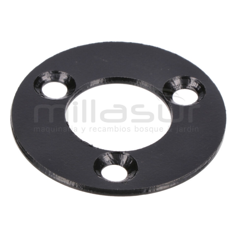 PLACA PIÑON CADENA DC361 (101) - motoscamaralweb.com