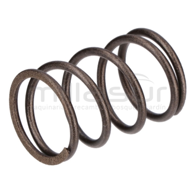 MUELLE VALVULAS LC1P70FC. DC361 (E4) - motoscamaralweb.com