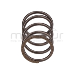 MUELLE VALVULAS LC1P70FC. DC361 (E4) - motoscamaralweb.com