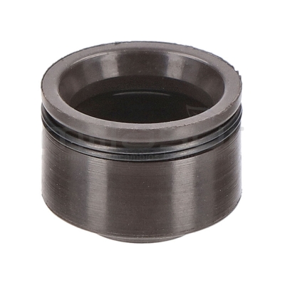 RETEN ACEITE VALVLA ESCAPE LC1P70FC. DC361 (E5) - motoscamaralweb.com