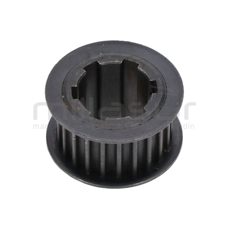 POLEA PENTADA INTERMEDIA (24) - motoscamaralweb.com