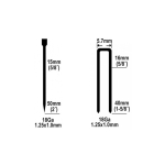 CLAVADORA 2EN1 NEUMATICA EMTOP PARA COMPRESOR 15-50mm (INCLUYE GRAPAS Y CLAVOS) - motoscamaralweb.com