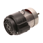 MOTOR MOLINO ANOVA (2020) - motoscamaralweb.com