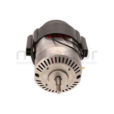 MOTOR MOLINO ANOVA (2020) - motoscamaralweb.com