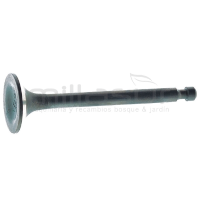 VALVULA ESCAPE GC3500 - motoscamaralweb.com