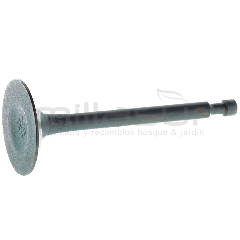 VALVULA ADMISIÓN GC5500 - motoscamaralweb.com