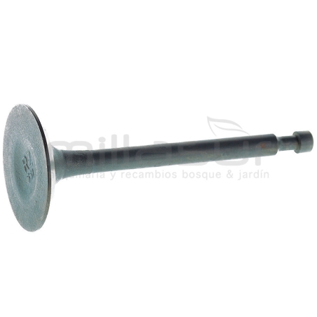 VALVULA ADMISIÓN GC5500 - motoscamaralweb.com