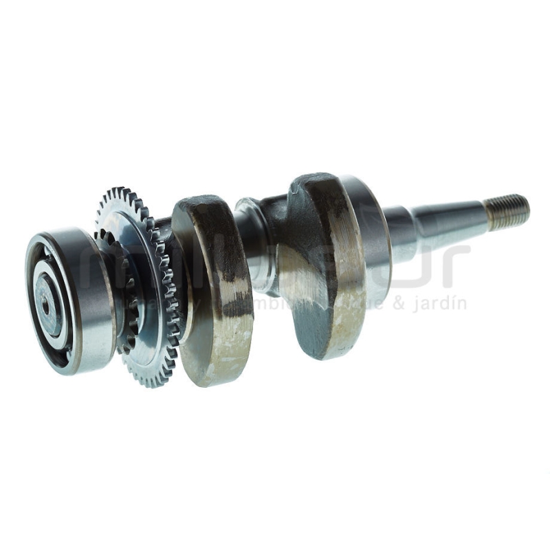 CIGÜEÑAL GI2000 (B35) - motoscamaralweb.com