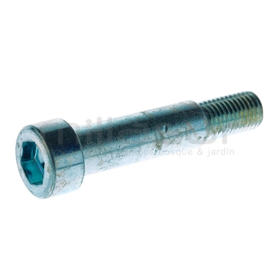 TORNILLO M10X54 SOPORTE MOTOR GI2000 (B77) - motoscamaralweb.com