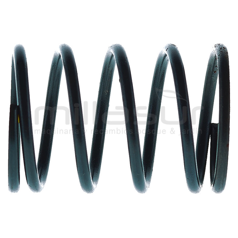 MUELLE PISTON H1350 (53) - motoscamaralweb.com