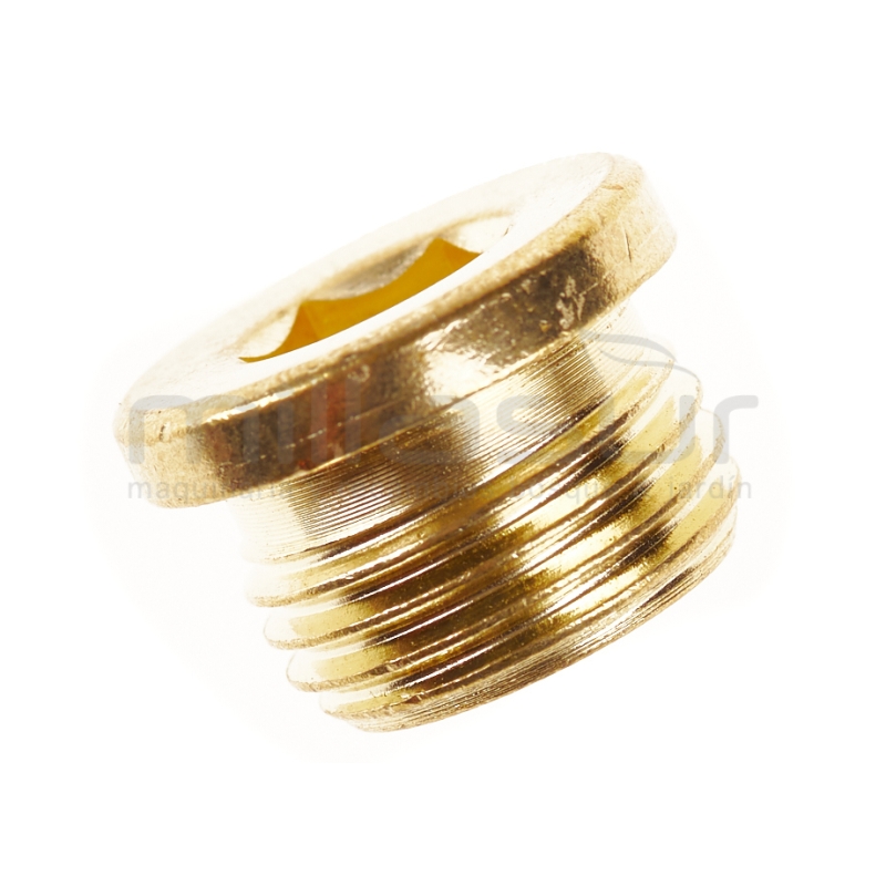 TAPON VALVULA H1500. H1650 (37) - motoscamaralweb.com