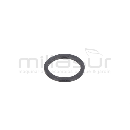 ANILLO TORICO - motoscamaralweb.com