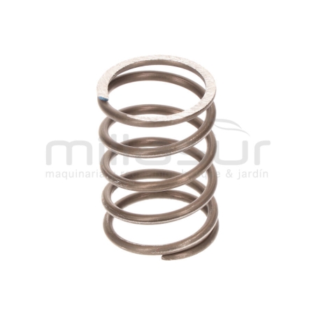 MUELLE PISTÓN H1700 - motoscamaralweb.com