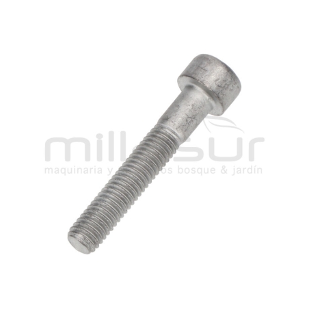 TORNILLO CULATA H1700 - motoscamaralweb.com