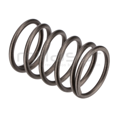 MUELLE PISTON H1950 (17) - motoscamaralweb.com