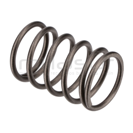 MUELLE PISTON H1950 (17) - motoscamaralweb.com