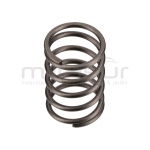 MUELLE PISTON H1950 (17) - motoscamaralweb.com