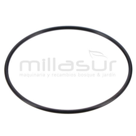 JUNTA TORICA TAPON LATERAL 63X2.2 H2200 (14) - motoscamaralweb.com