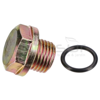 TAPON VACIADO ACEITE H2200 (27+28) - motoscamaralweb.com