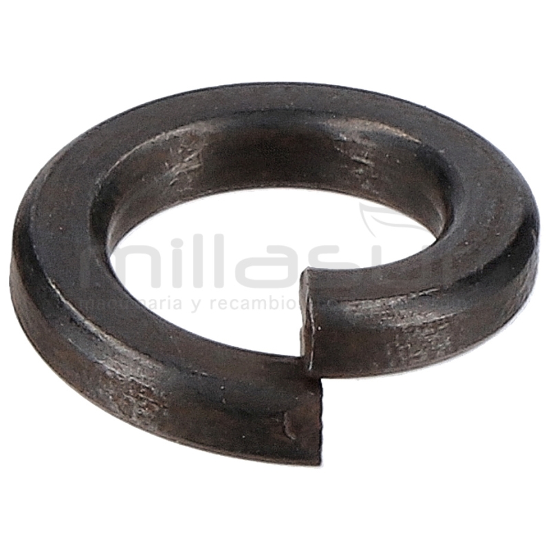 ARANDELA DE PRESION Ø6 H1950 (7) - motoscamaralweb.com
