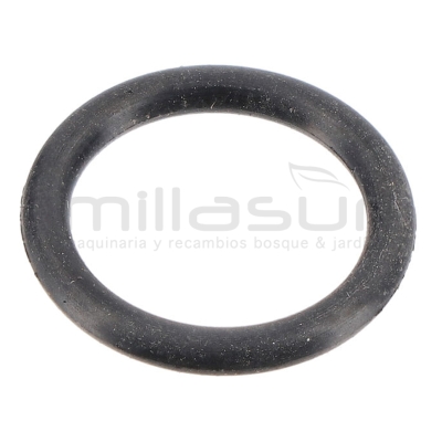 JUNTA TORICA ENTRADA BYPASS HG3000 (B34) - motoscamaralweb.com