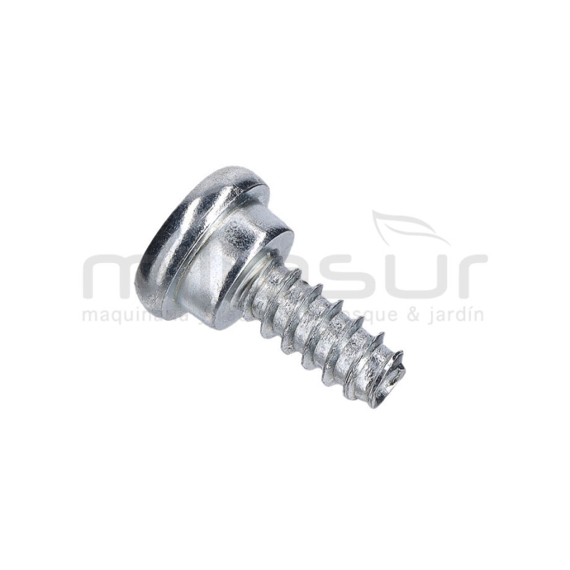 TORNILLO PIÑÓN ARRANQUE - M431HXP ( 137 ) - motoscamaralweb.com