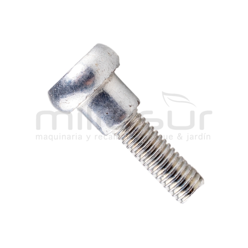 TORNILLO FIJACION ASA M437HXP (44) - motoscamaralweb.com