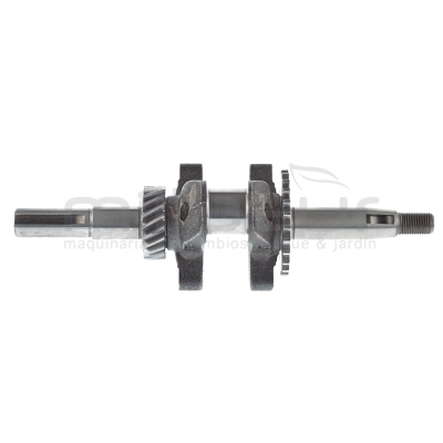 CIGÜEÑAL MA100 (1) - motoscamaralweb.com