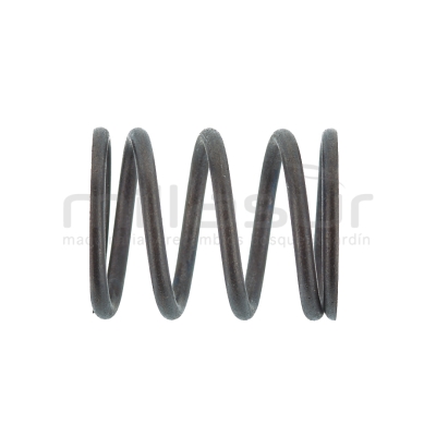 MUELLE VALVULA MA100 (13) - motoscamaralweb.com