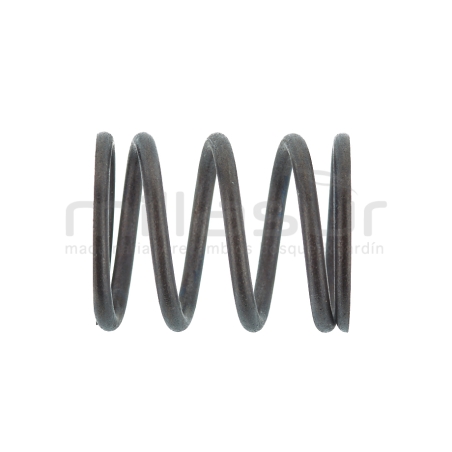 MUELLE VALVULA MA100 (13) - motoscamaralweb.com